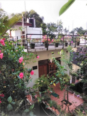 Araliya Home Stay